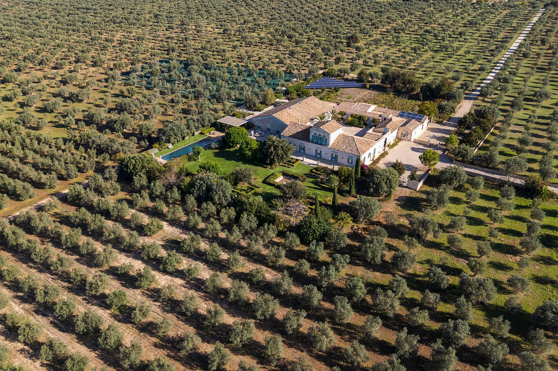 Domus Olivae villa photo.